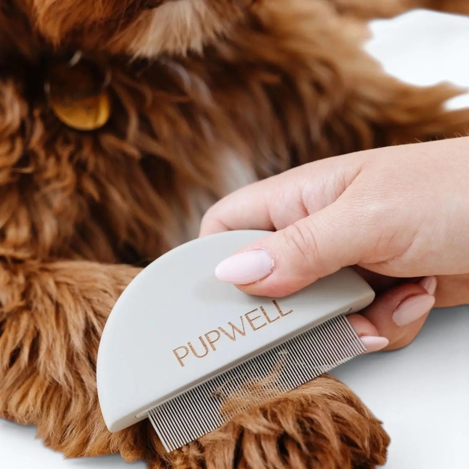 Pupwell Detailer Comb – detailer comb size reference next to packaging