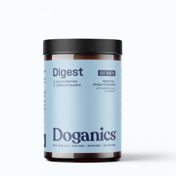 Doganics Digest Probiotic Gut Supplement – light blue-labeled jar of beef liver flavored soft chews with prebiotics, probiotics, brewer's yeast, and salmon oil, product shot