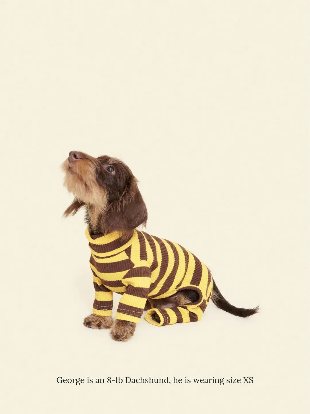 Dijon Dog Onesie