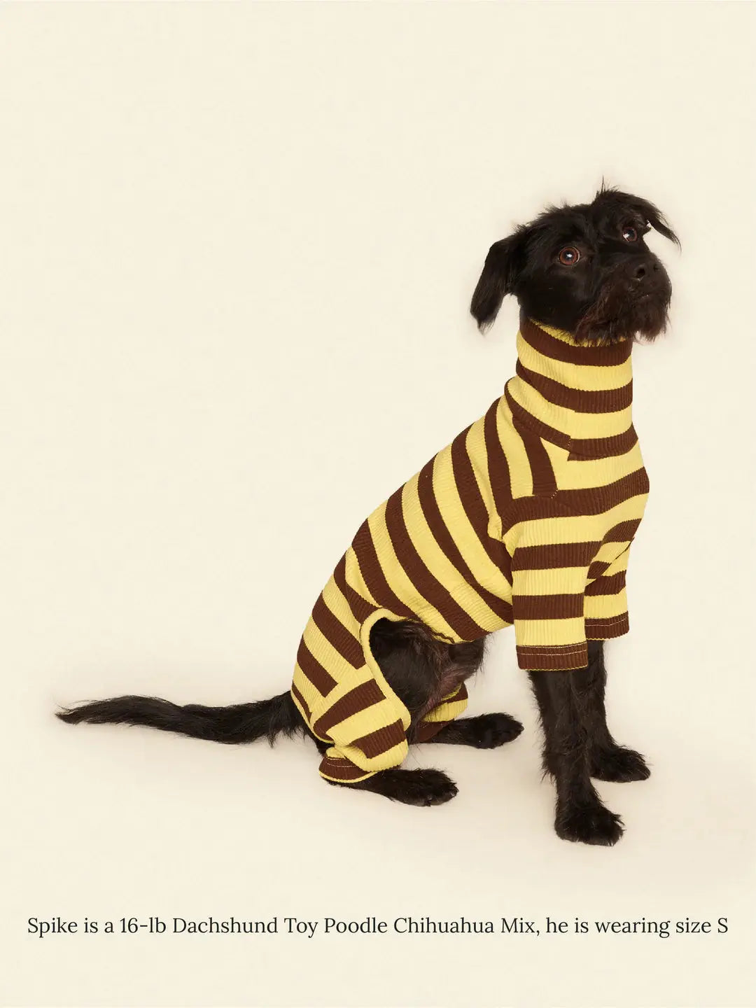 Dijon Dog Onesie