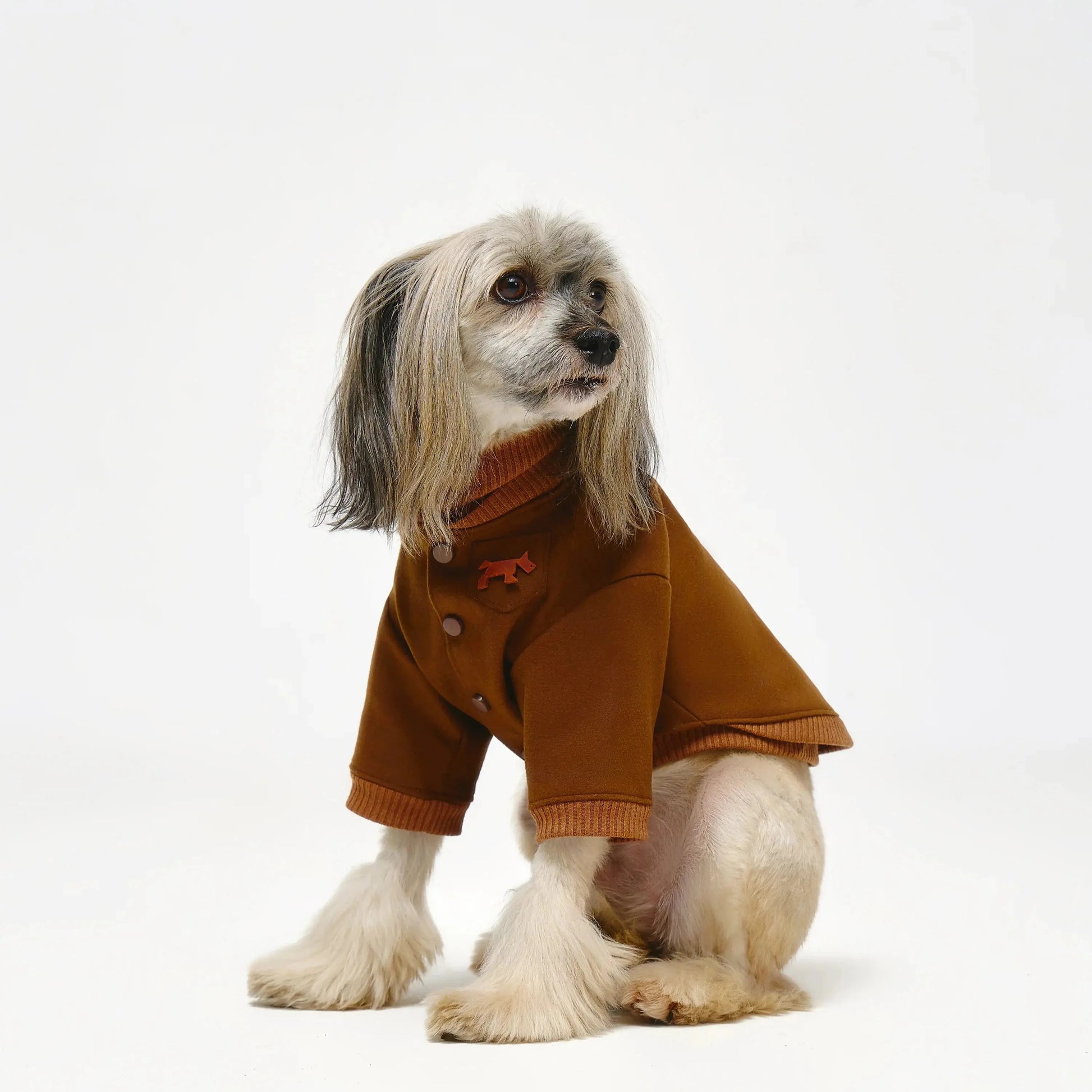 Dog Bomber Jacket - Fluffy Collective