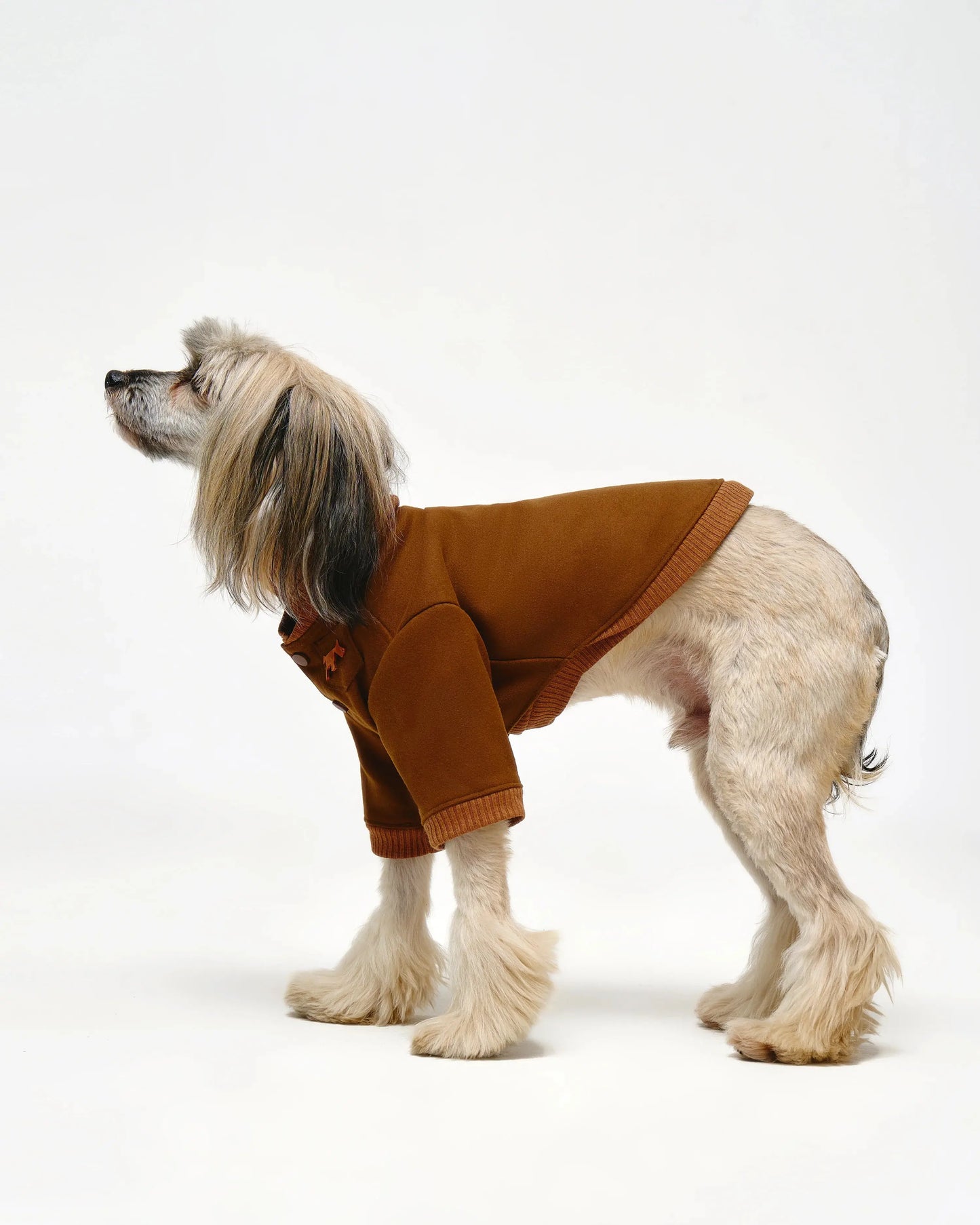 Dog Bomber Jacket - Fluffy Collective