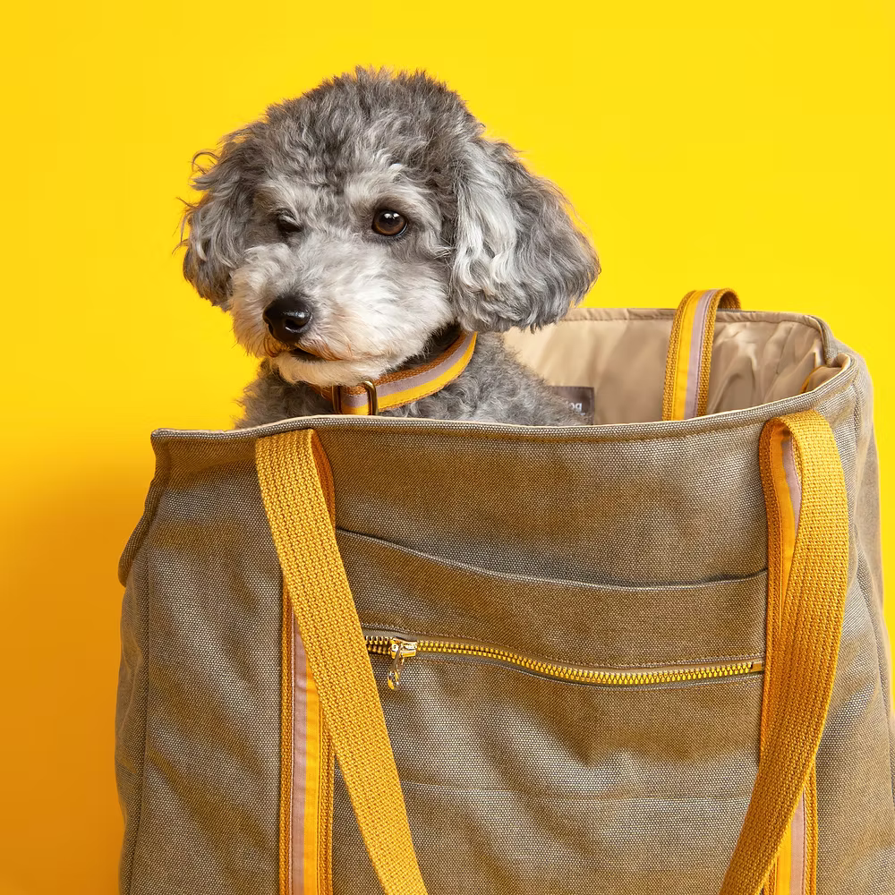 Dog Carrier Positano - Fluffy Collective