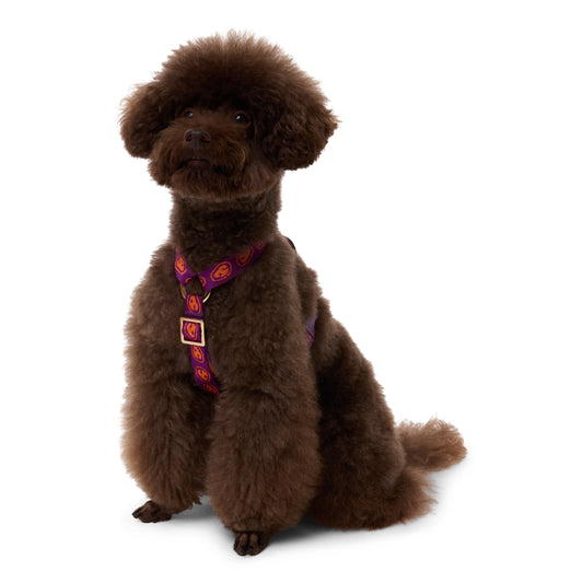 Dog Harness Furmey Orange - Fluffy Collective