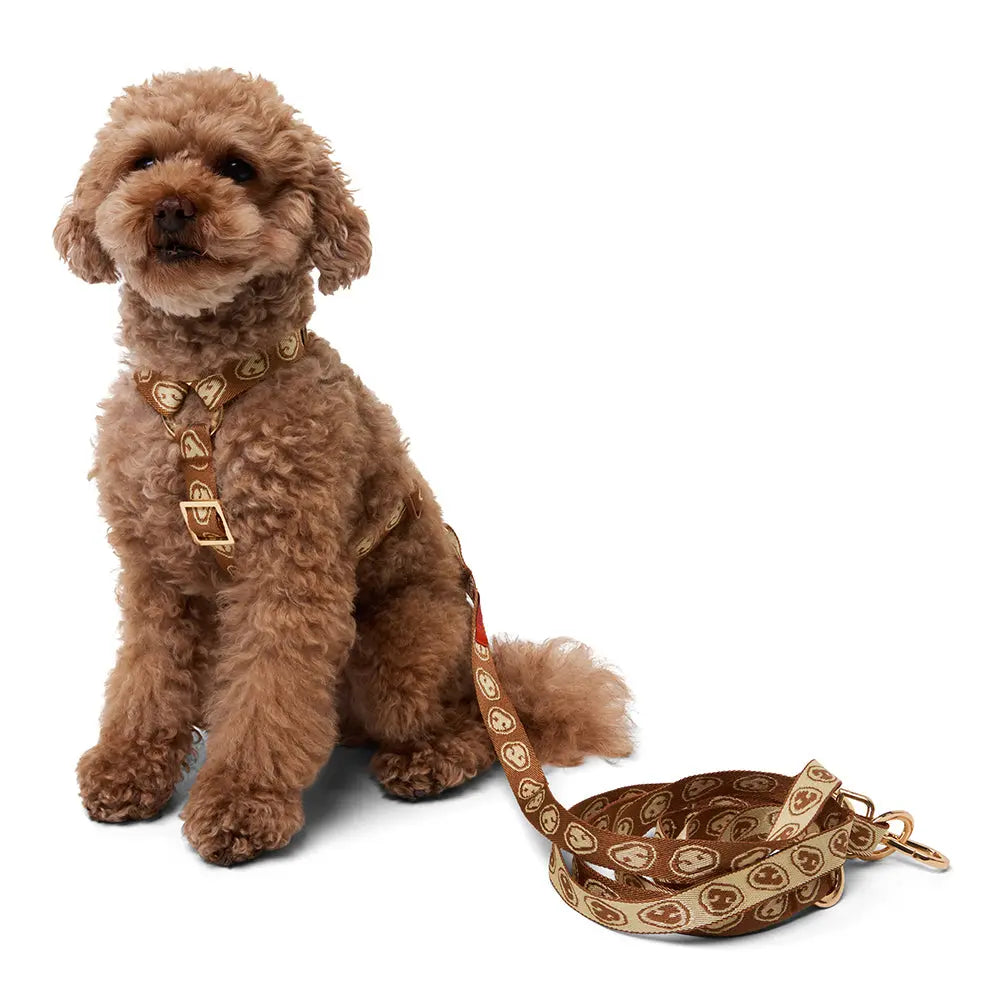 Hands-free Dog Leash Latte Brown - Fluffy Collective