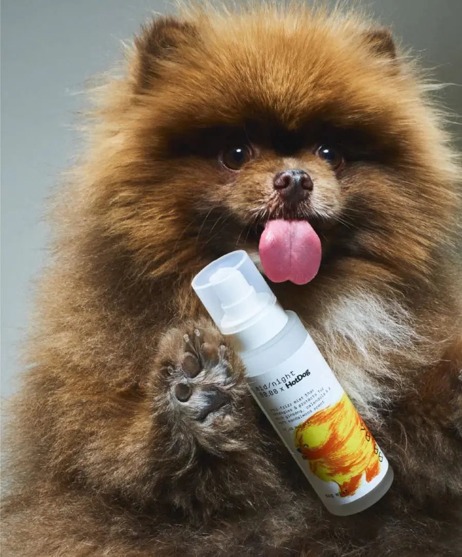 Dog Mist - Fluffy Collective