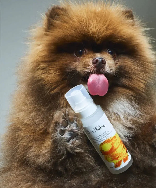 Dog Mist - Fluffy Collective