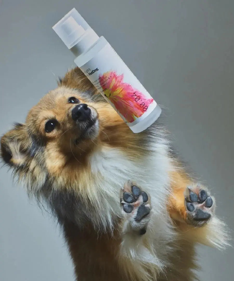 Dog Mist - Fluffy Collective