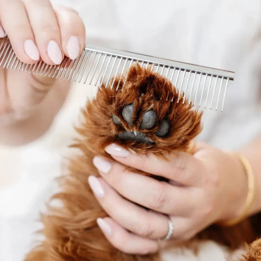 Pupwell Everyday Comb – everyday comb for tangle-free grooming, detail shot