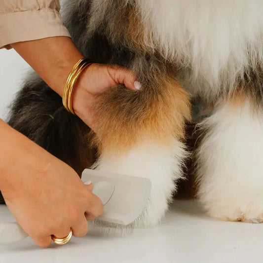 Pupwell Everyday Slicker Brush – everyday slicker brush for preventing matting, lifestyle shot