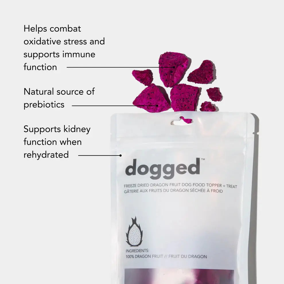 Freeze Dried Dragon Fruit Topper - Fluffy Collective