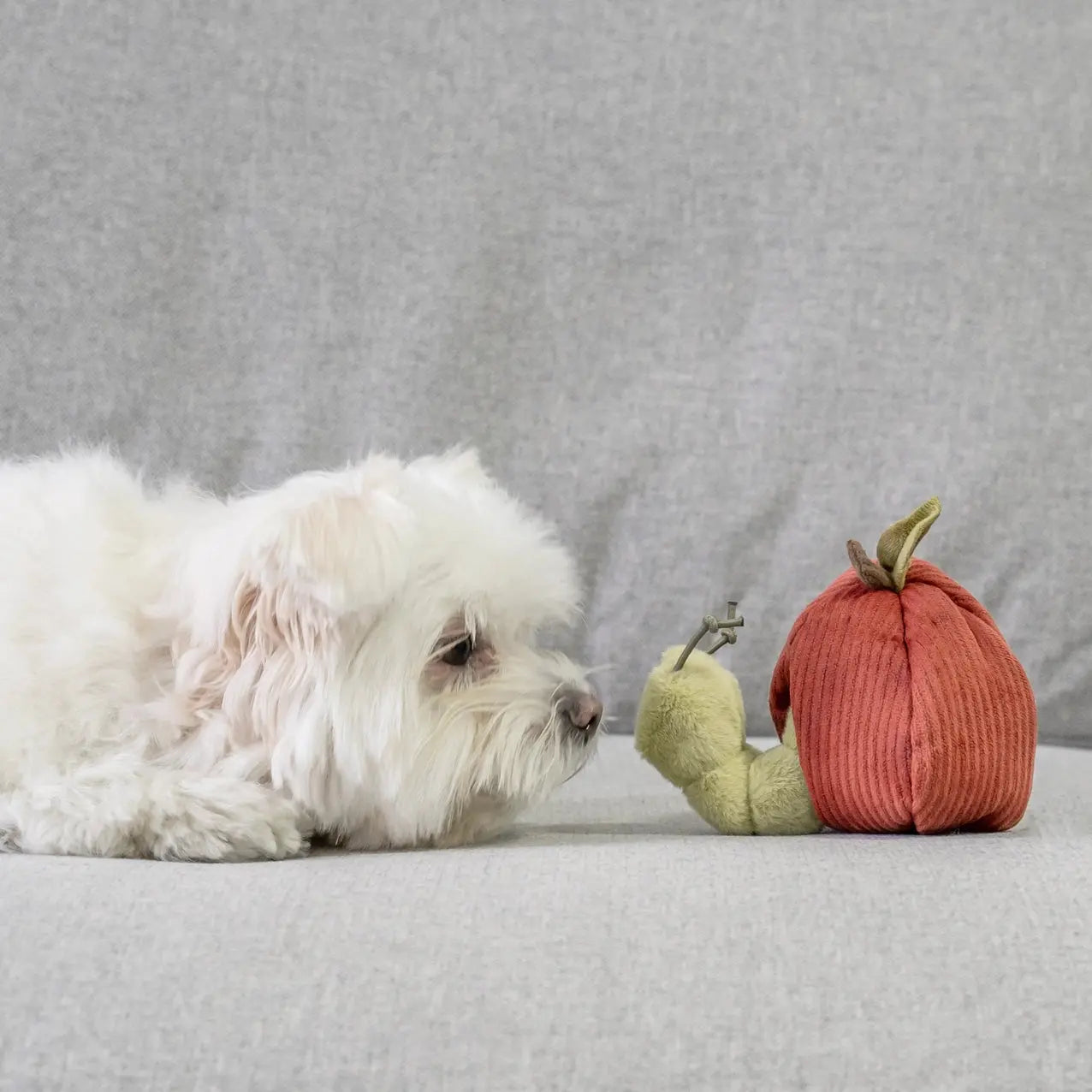 Fruit Dog Toy Set - Fluffy Collective