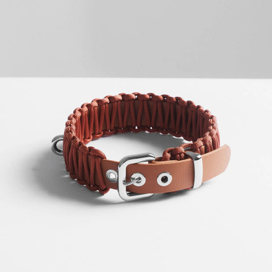 Galan B Cinnamon Dog Collar - Fluffy Collective