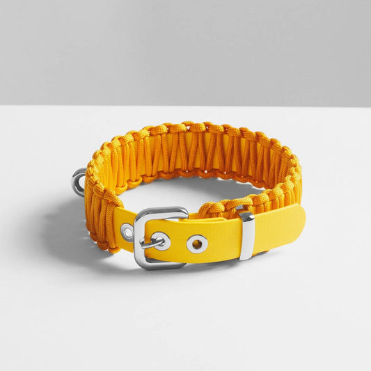 Galan B Desert Gold Dog Collar - Fluffy Collective