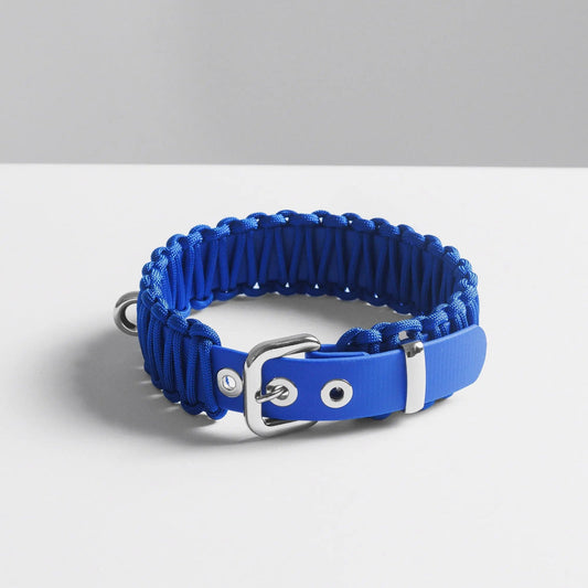 Galan B Royal Blue Dog Collar - Fluffy Collective