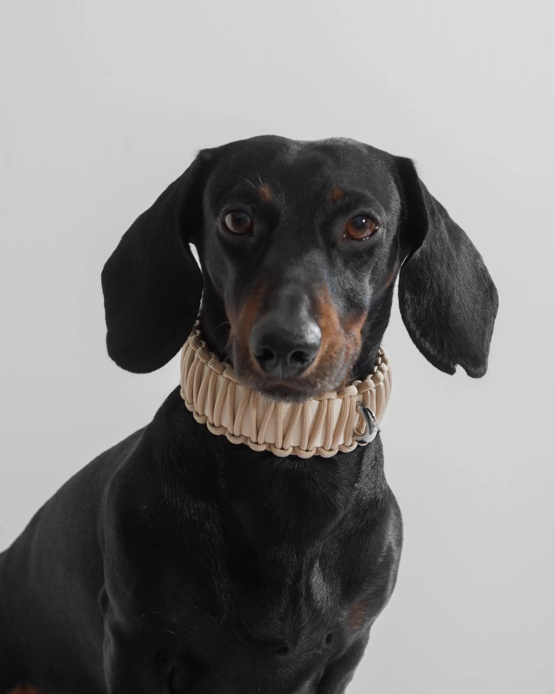 Galan Dog Collar Bone - Fluffy Collective