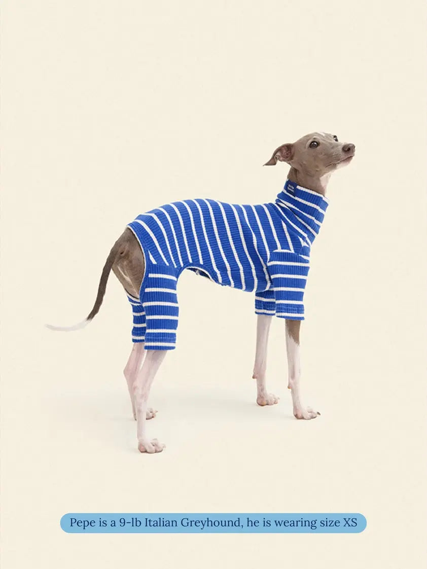 Greek to Me Dog Onesie - Fluffy Collective