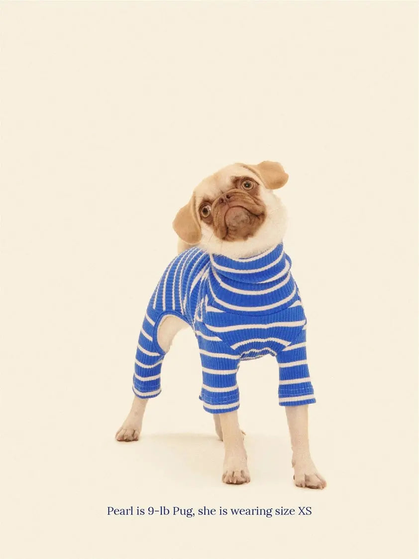 Greek to Me Dog Onesie - Fluffy Collective