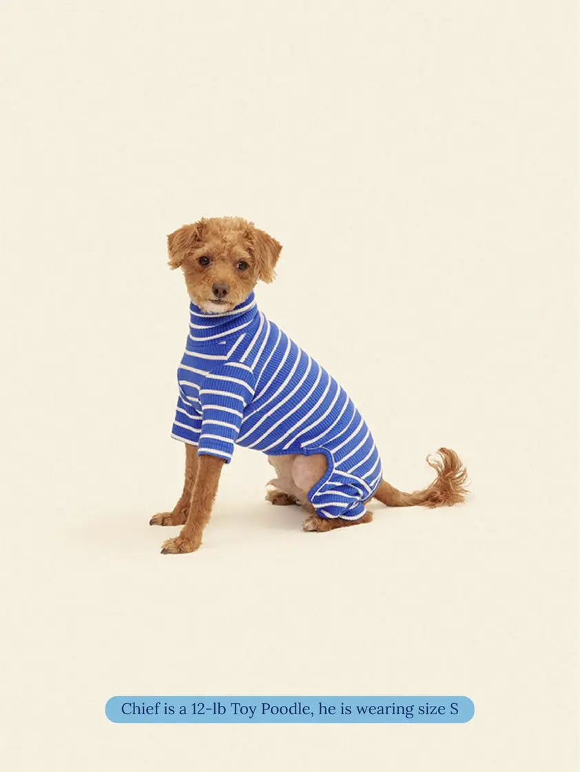 Greek to Me Dog Onesie - Fluffy Collective