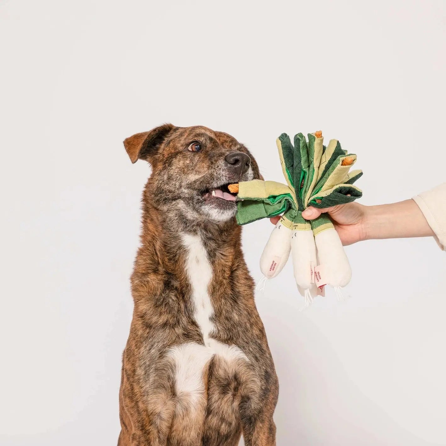 Green Onion Nosework Toy - Fluffy Collective