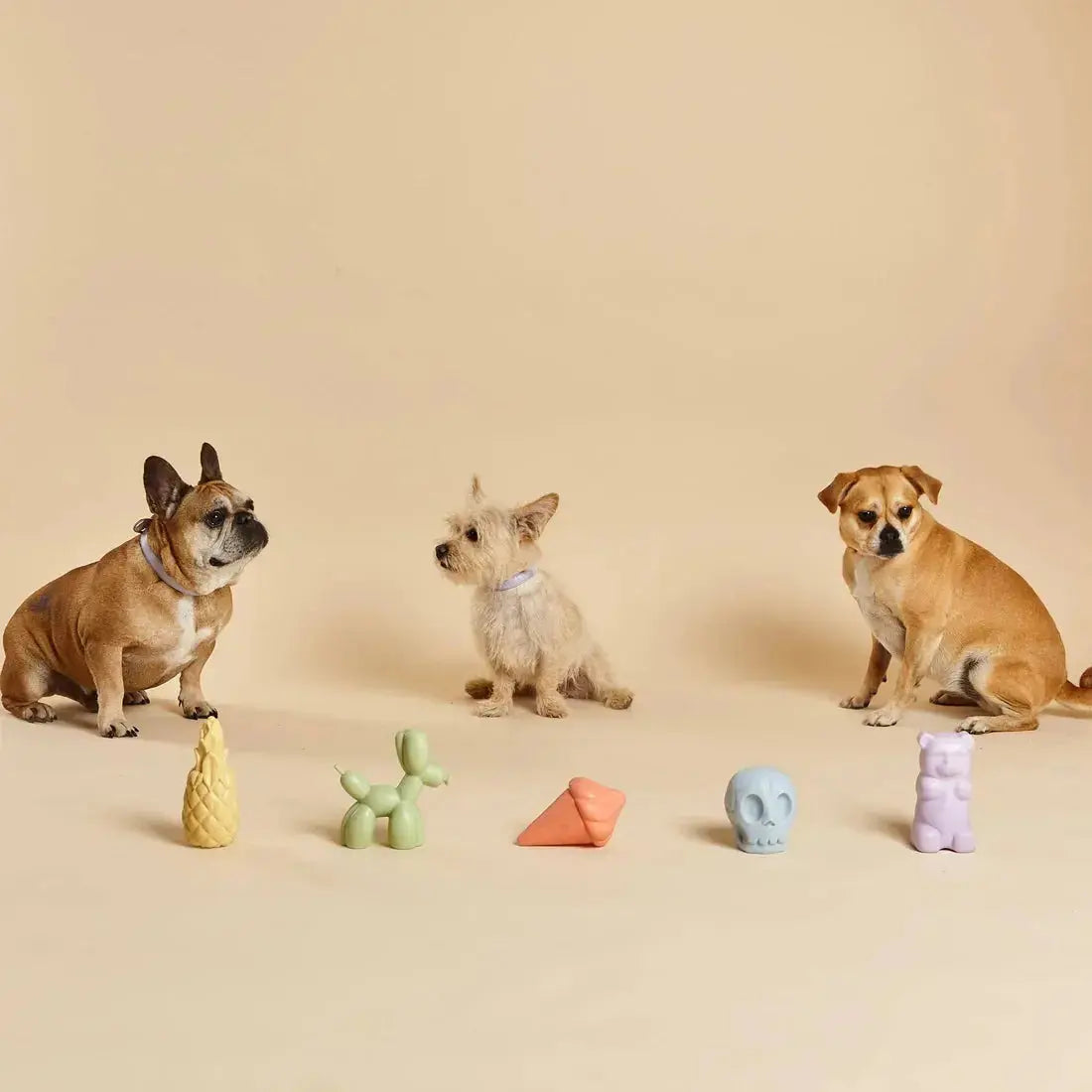 Gummy Squeaky Dog Toy - Fluffy Collective