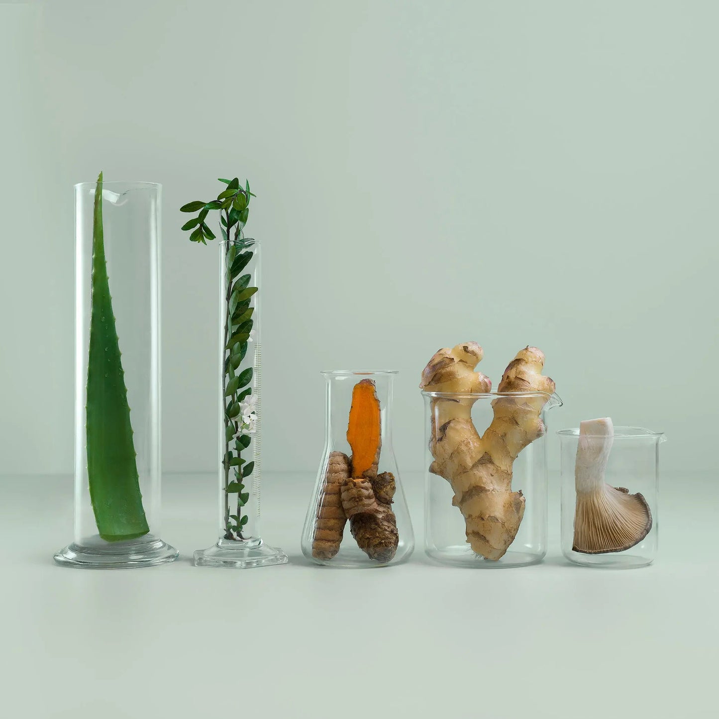 Gut Essence
