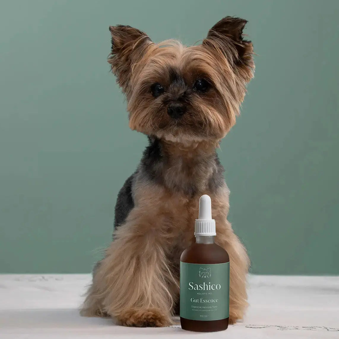 Sashico Gut Essence – Supports gut-brain balance and nervous system health through natural functional ingredients including Valerian root and Aloe