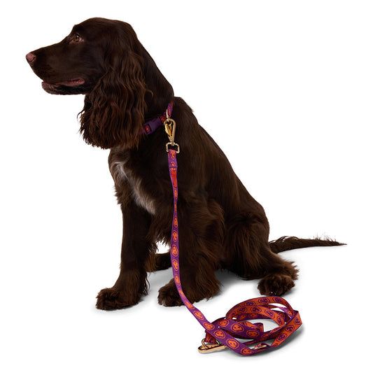 Hands-free Dog Leash Furmey Orange - Fluffy Collective