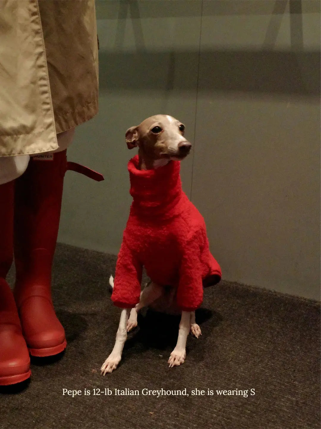 Hot Sauce Fleece Dog Shirt