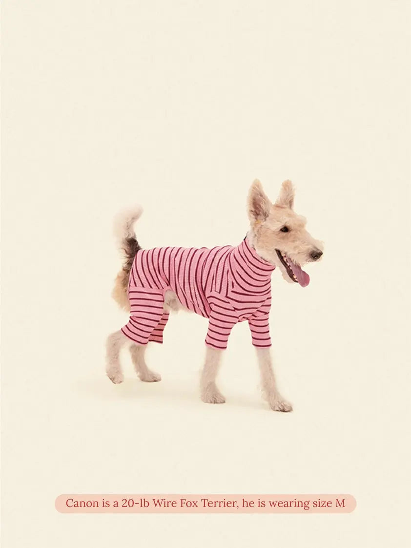 Imu Dog Onesie - Fluffy Collective