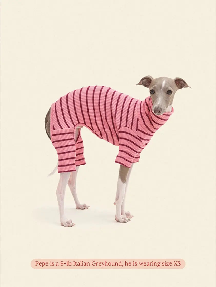 Imu Dog Onesie - Fluffy Collective