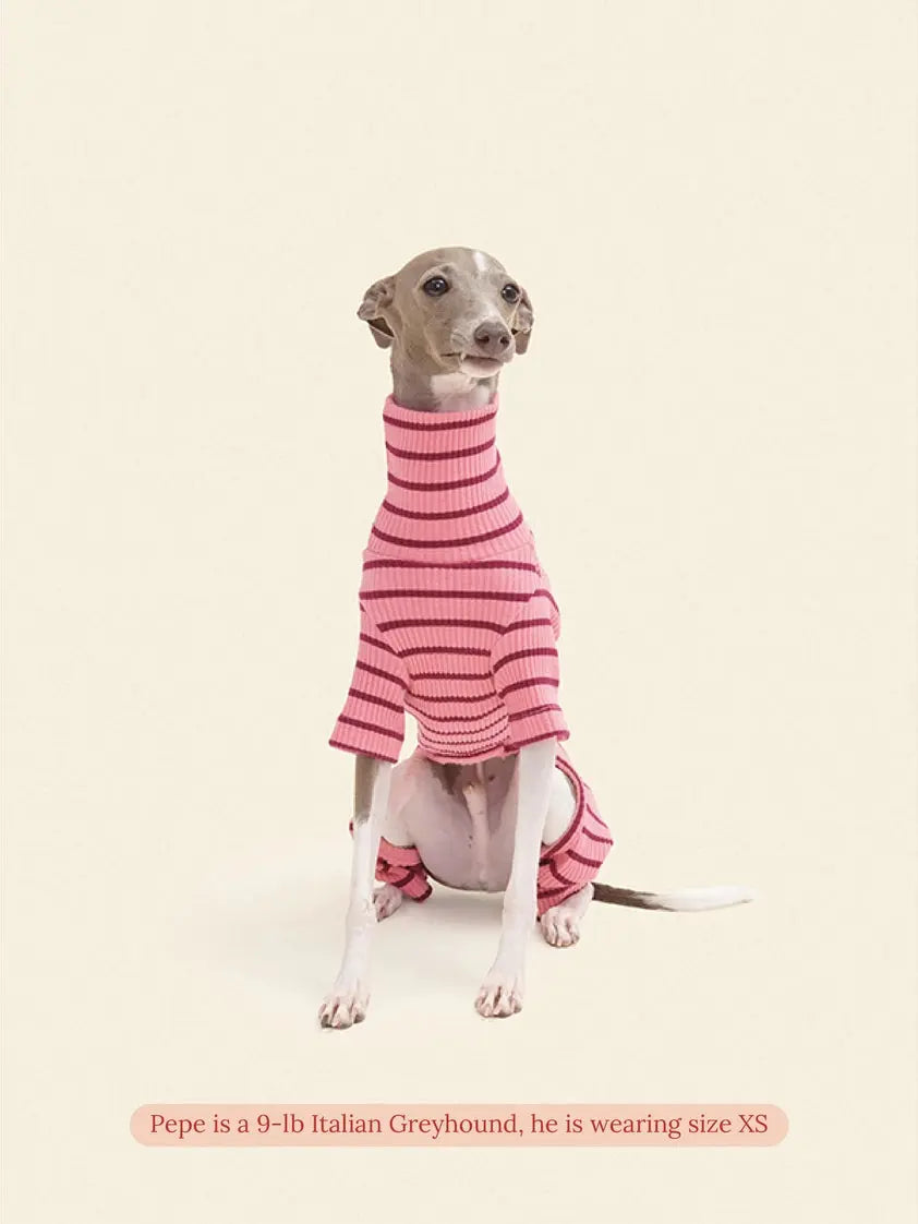 Imu Dog Onesie - Fluffy Collective