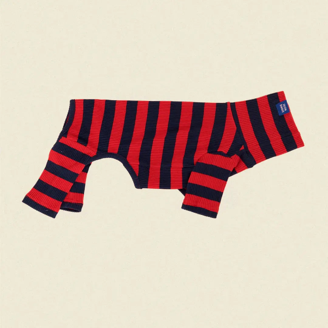 Ivy League Dog Onesie