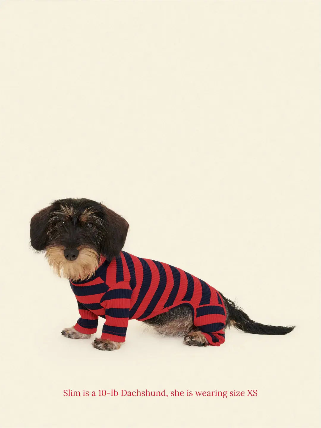 Ivy League Dog Onesie