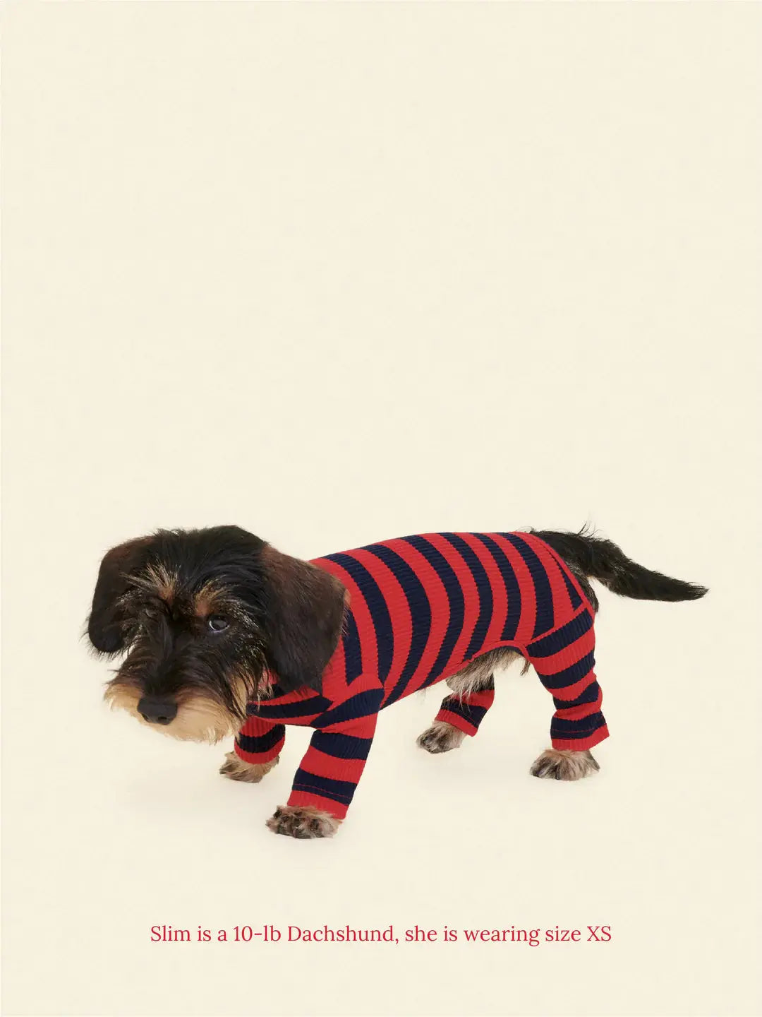Ivy League Dog Onesie