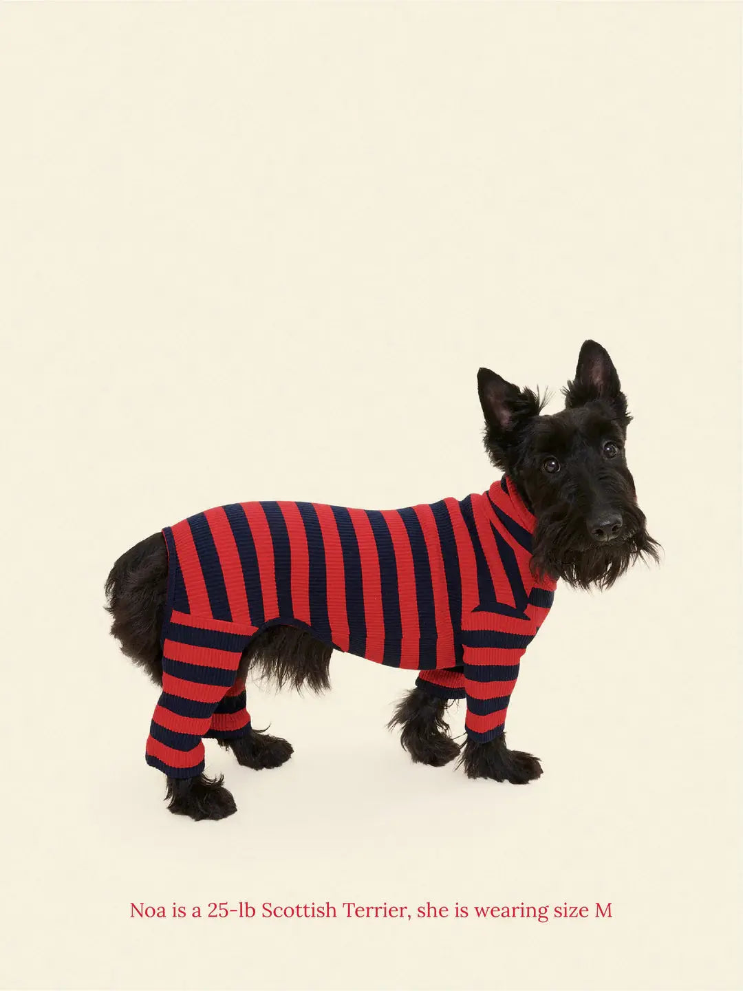 Ivy League Dog Onesie