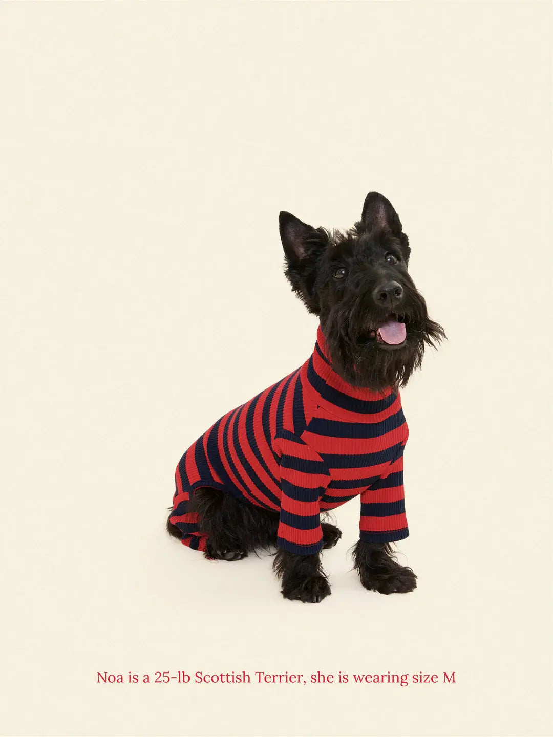 Ivy League Dog Onesie