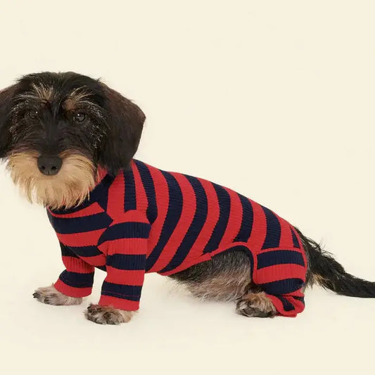 Ivy League Dog Onesie