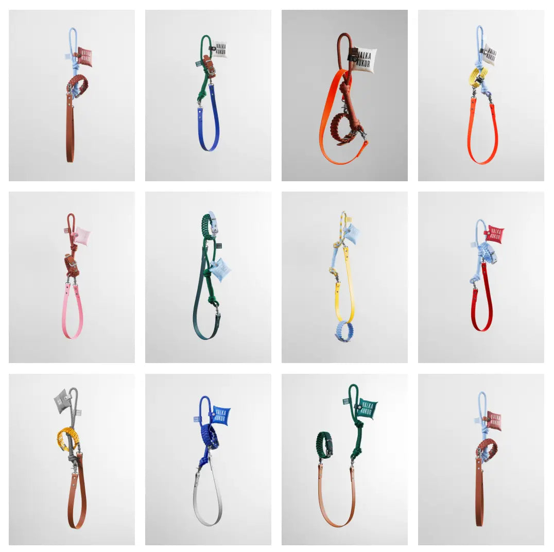 Leash Set - Fluffy Collective