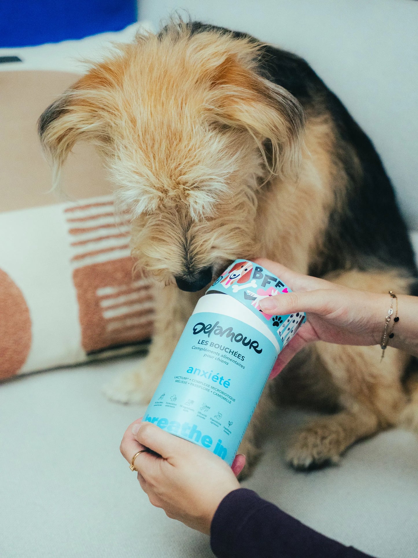 Les Bouchées - Calming Support Bites - Fluffy Collective