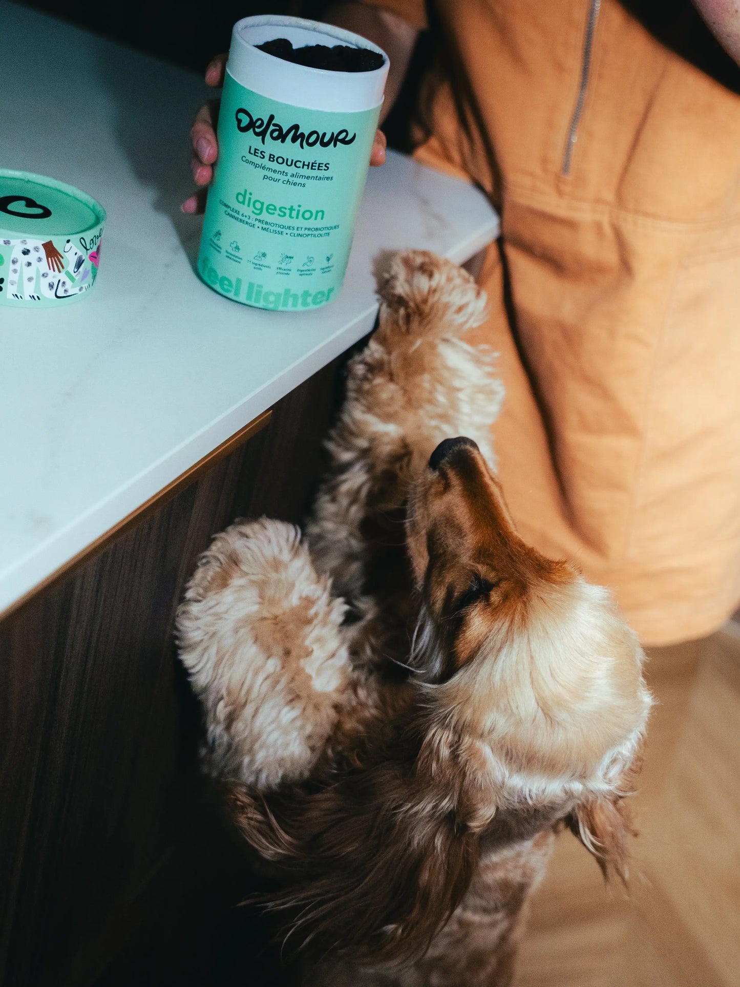 Les Bouchées - Digestion Support Bites - Fluffy Collective
