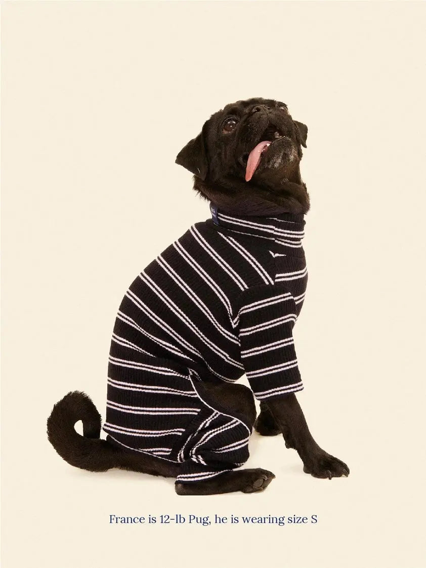 Midnight in Paris Dog Onesie - Fluffy Collective