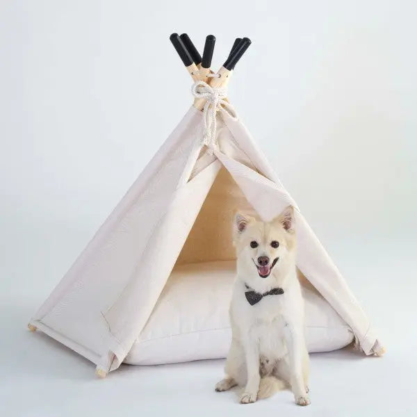 Mini Jericho Tent FIGG