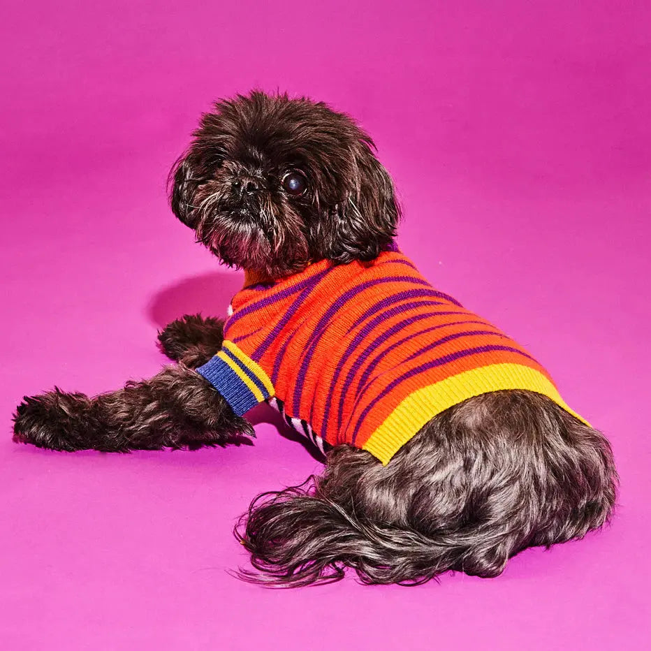 Mixed Up Stripe Sweater WARE OF THE DOG