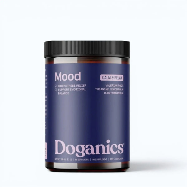 Doganics Mood Calm & Relax Supplement – purple-labeled jar of beef liver flavored soft chews with valerian root, theanine, lemon balm, and ashwagandha, product shot