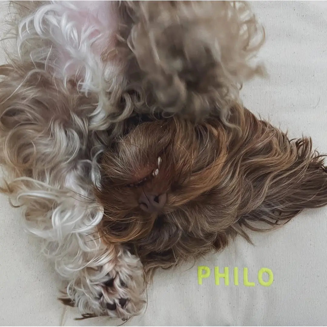 Nomad Dog Bed Beige Neon Yellow - Fluffy Collective