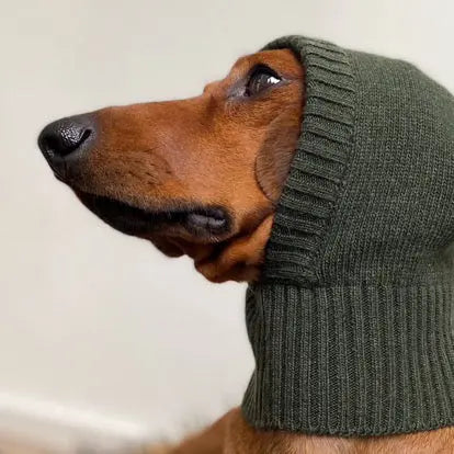 Notre-Dame Dachshund Balaclava Dark Loden - Fluffy Collective