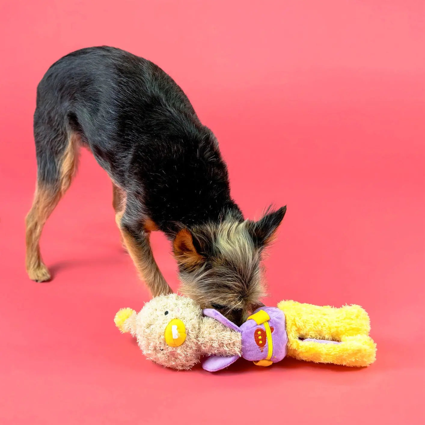 Ostrikraken Nosework Toy - Fluffy Collective