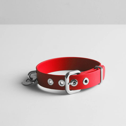 Party Red Dog Collar - Fluffy Collective