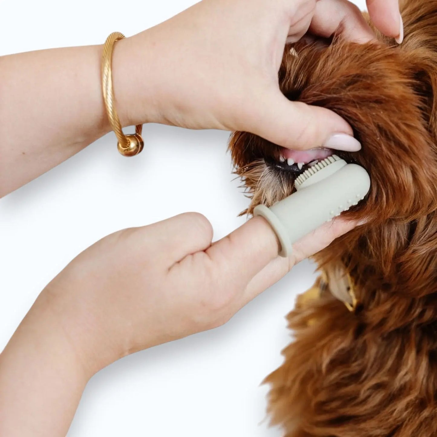 Pupwell Puppy Breath Toothbrush – Rose Dust colourway, soft bristle dog toothbrush